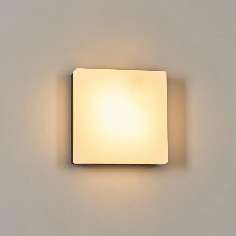 Sneslev Lampe murale d´extérieur, Applique murale Noir, 1 lumière
