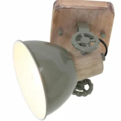 Spot Steinhauer GEARWOOD Vert, 1 lumière