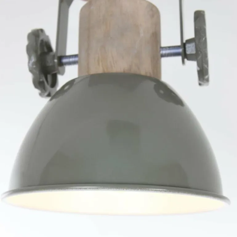 Spot Steinhauer GEARWOOD Vert, 1 lumière