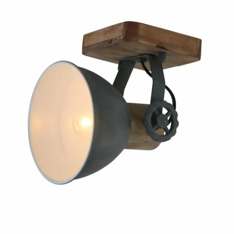 Spot Steinhauer GEARWOOD Gris, 1 lumière