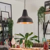 Suspension Aigle Noir, 1 lumière