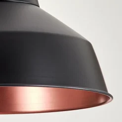 Suspension Aigle Noir, 1 lumière