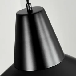 Suspension Aigle Noir, 1 lumière