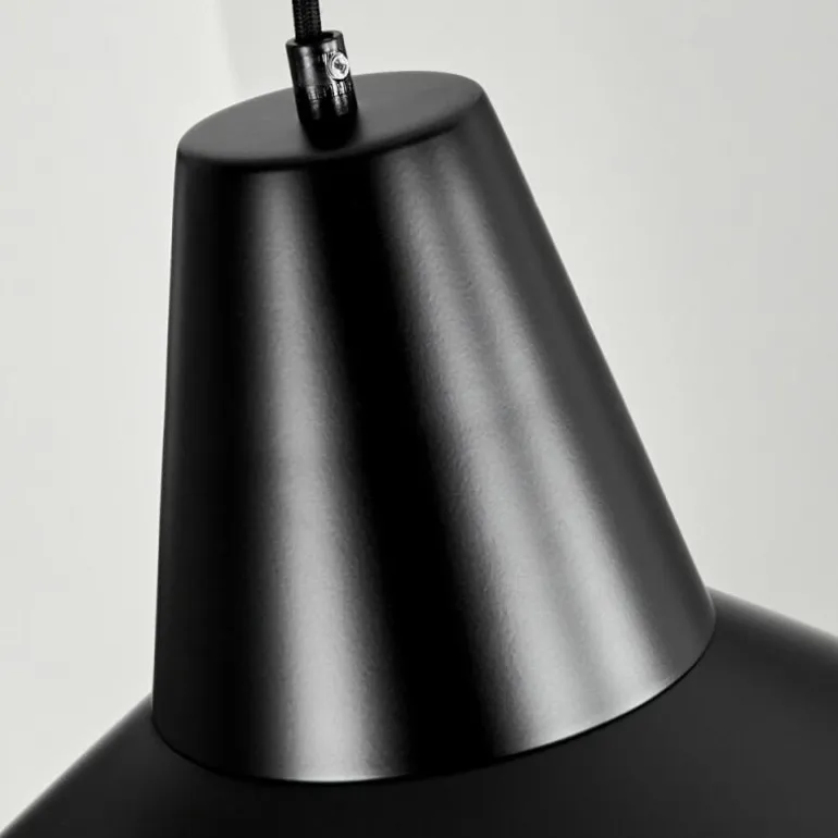 Suspension Aigle Noir, 1 lumière