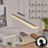 Suspension Barrud LED Argenté, 1 lumière