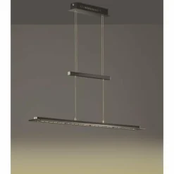 Suspension Fischer & Honsel living Tenso TW LED Anthracite, 1 lumière