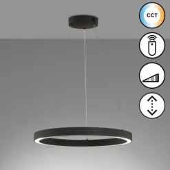 Suspension Fischer & Honsel Sirko LED Noir, 1 lumière, Télécommandes
