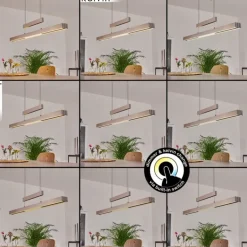 Suspension Inicio LED Nickel mat, 5 lumières