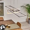Suspension Omega LED Argenté, 1 lumière