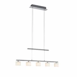 Suspension Paul Neuhaus HYDRA LED Acier brossé, 5 lumières
