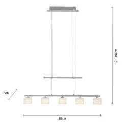Suspension Paul Neuhaus HYDRA LED Acier brossé, 5 lumières