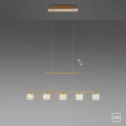 Suspension Paul Neuhaus HYDRA LED Laiton, 5 lumières
