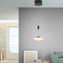 Suspension Paul Neuhaus LAUTADA LED Noir, 1 lumière