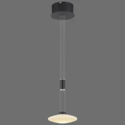 Suspension Paul Neuhaus LAUTADA LED Noir, 1 lumière