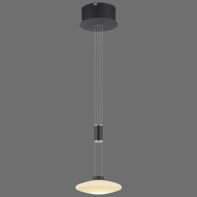 Suspension Paul Neuhaus LAUTADA LED Noir, 1 lumière