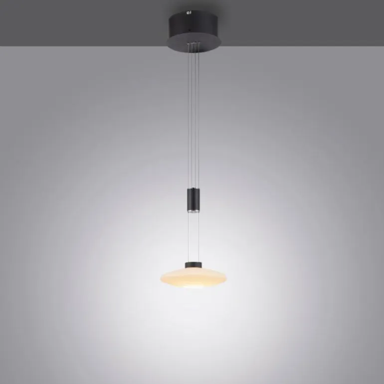 Suspension Paul Neuhaus LAUTADA LED Noir, 1 lumière