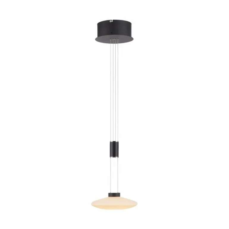 Suspension Paul Neuhaus LAUTADA LED Noir, 1 lumière