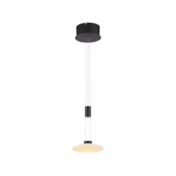Suspension Paul Neuhaus LAUTADA LED Noir, 1 lumière