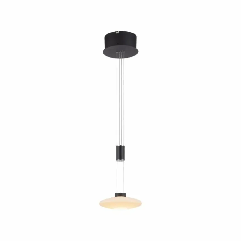 Suspension Paul Neuhaus LAUTADA LED Noir, 1 lumière