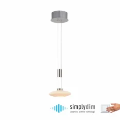 Suspension Paul Neuhaus LAUTADA LED Acier brossé, 1 lumière