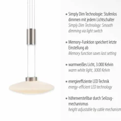 Suspension Paul Neuhaus LAUTADA LED Acier brossé, 1 lumière