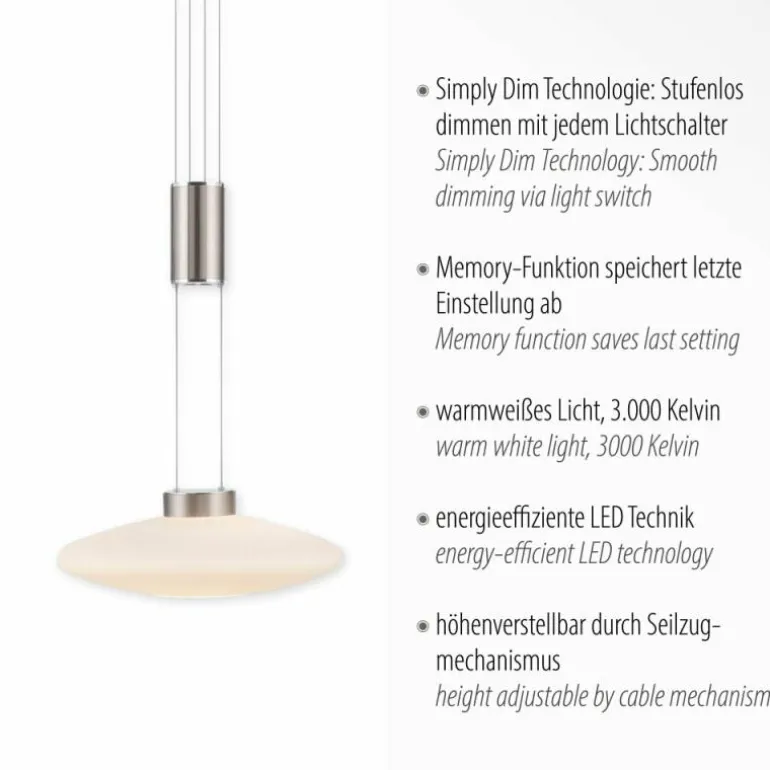 Suspension Paul Neuhaus LAUTADA LED Acier brossé, 1 lumière