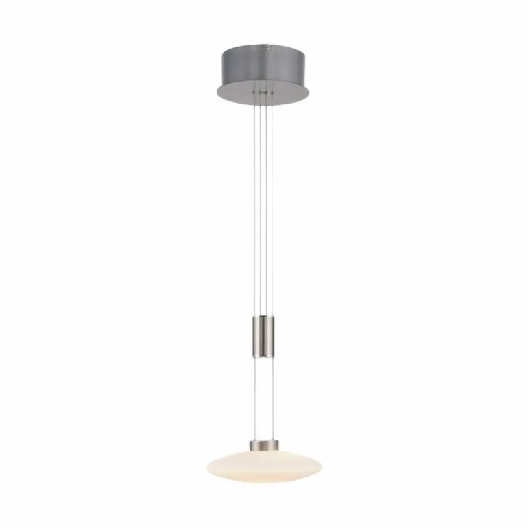 Suspension Paul Neuhaus LAUTADA LED Acier brossé, 1 lumière