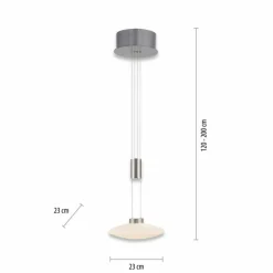 Suspension Paul Neuhaus LAUTADA LED Acier brossé, 1 lumière