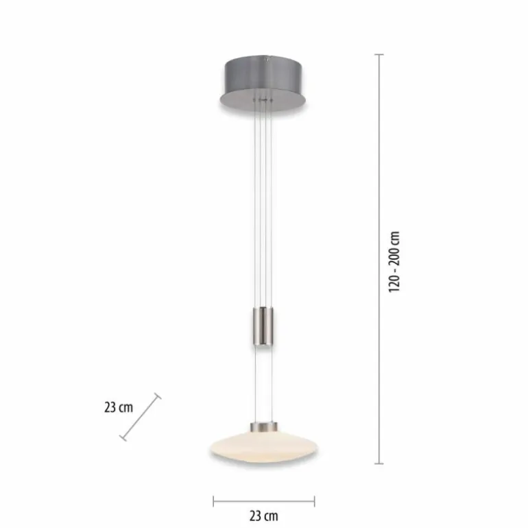Suspension Paul Neuhaus LAUTADA LED Acier brossé, 1 lumière