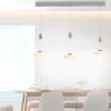 Suspension Paul Neuhaus LAUTADA LED Acier brossé, 3 lumières