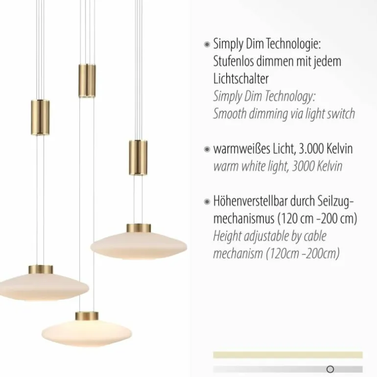 Suspension Paul Neuhaus LAUTADA LED Laiton, 3 lumières