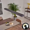 Suspension Seaton LED Noir, 1 lumière