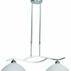 Suspension Steinhauer CAPRI Acier inoxydable, 2 lumières