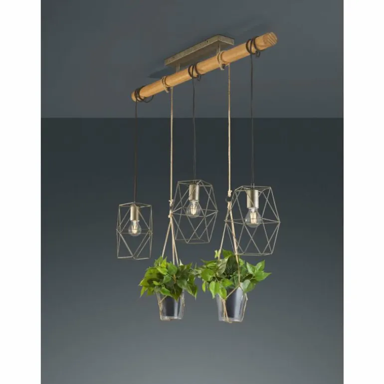 Suspension Trio Plant LED Brun foncé, Nickel mat, 3 lumières